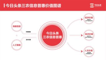 一鍵查詢農產品行情 今日頭條以信息技術咨詢服務提升三農信息服務效率